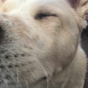 Meet your Posher, Ashleigh